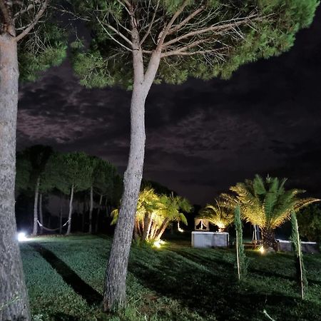 Agriturismo La Pergola Castiglione del Lago Buitenkant foto